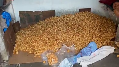 Large pile of discarded samosas and pani puris after raid in Hyderabad.