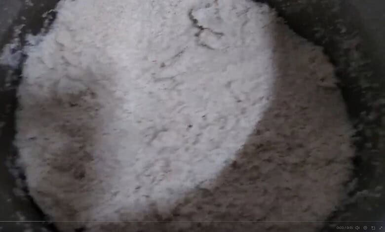 Maggot-infested rice in Jagtial school