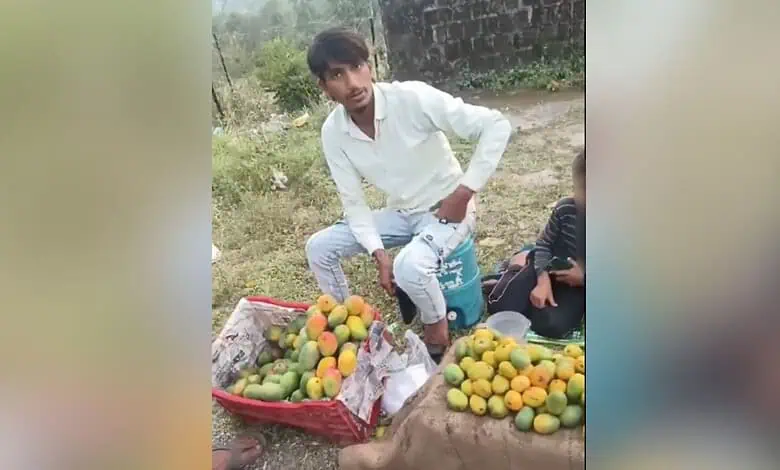 Young man selling mangoes on roadside in Uttarakhand, India.