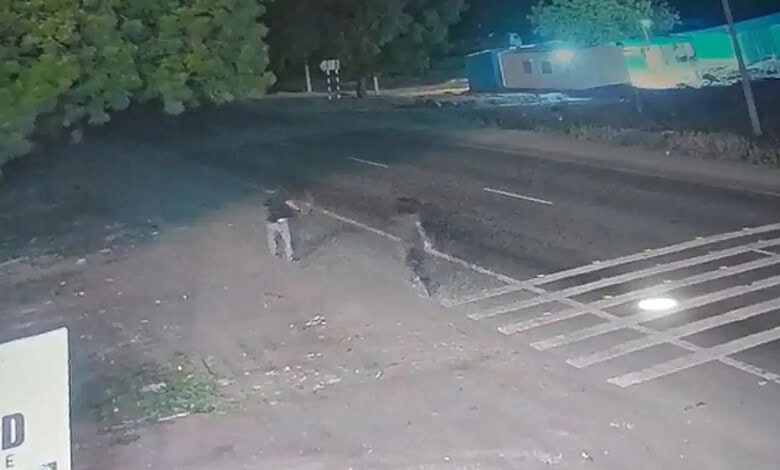Two individuals walking along a roadside at night near a forested area.