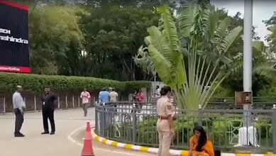 People gathered near a large plant and a fence in an outdoor setting.