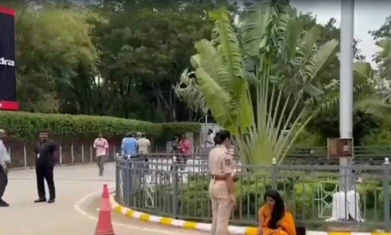 People gathered near a large plant and a fence in an outdoor setting.