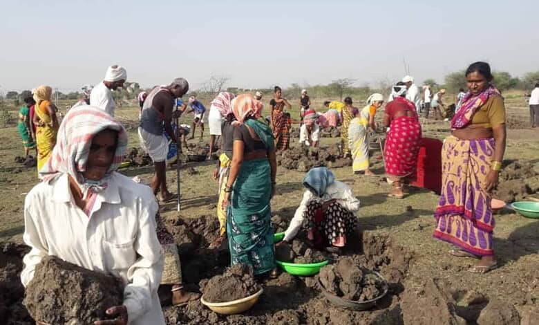 Group of farmers working in Telangana agricultural fields under clear sky.