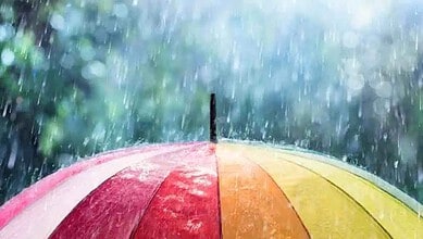 Rain, gusty winds forecast across Karnataka for two days