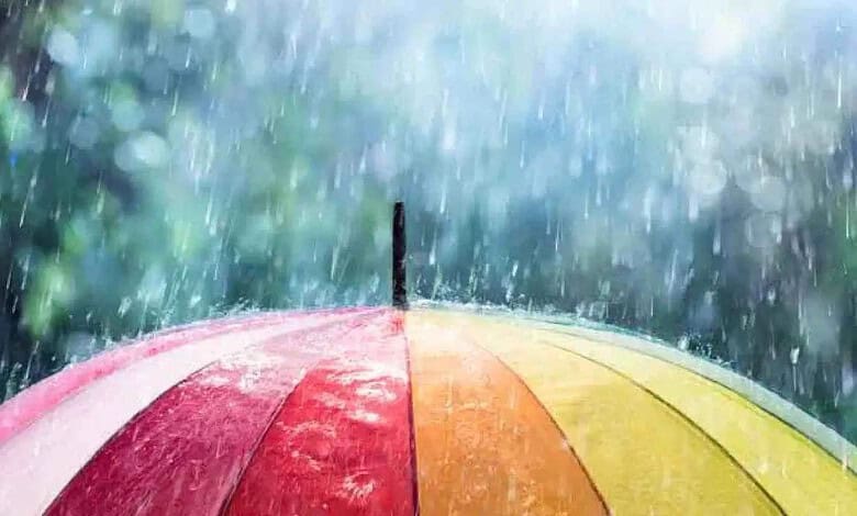 Rain, gusty winds forecast across Karnataka for two days