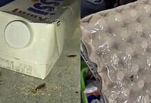 Cockroaches near a Zepto store in Hyderabad, highlighting infestation issues.