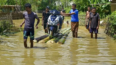 Flood-affected villagers crossing a makeshift bamboo bridge in Assam.