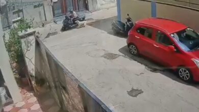 Old Malakpet residents urge GHMC to curb stray dog menace