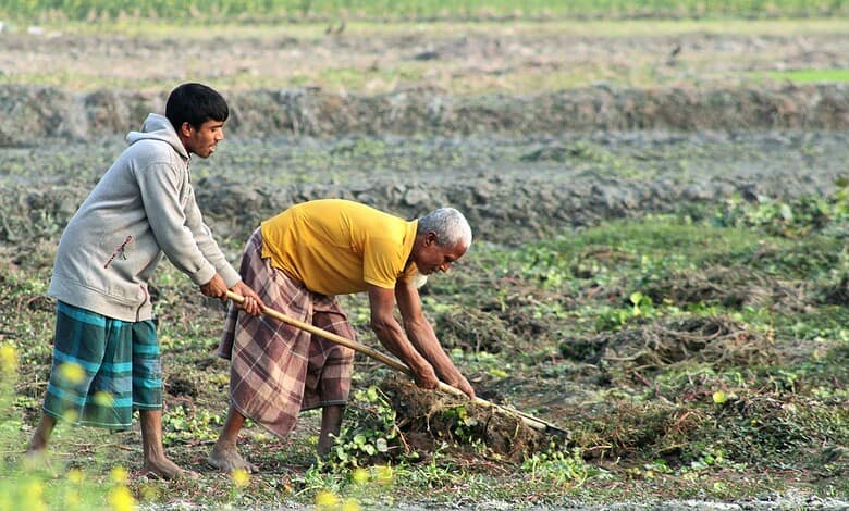 Two men working in a field during monsoon in Telangana, India.