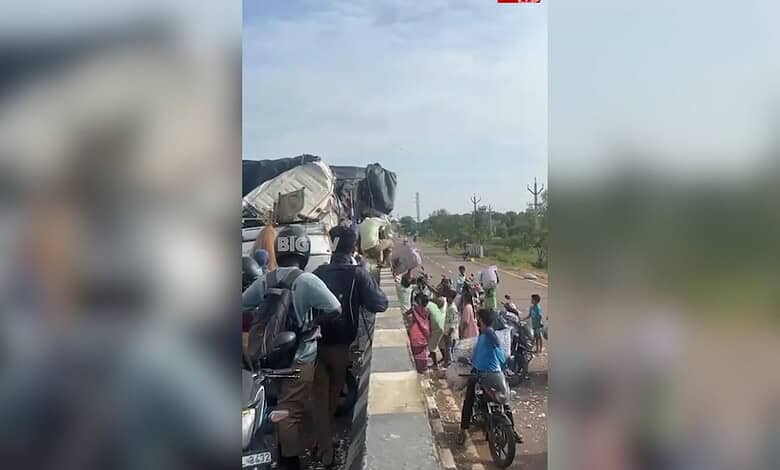 People looting garlic from a lorry after an accident on Telangana highway.