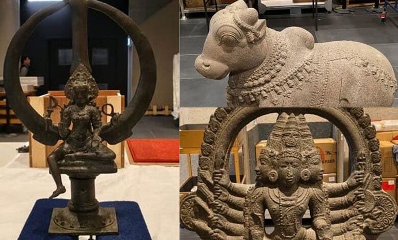 Ancient Indian sculptures and artefacts displayed in a museum setting.