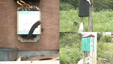 Close-up of electrical device and birdhouse in a green field setting.