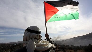 Protester holding Palestinian flag during demonstration with cloudy sky background.