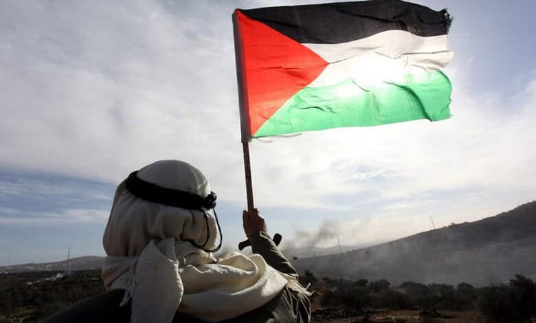 Protester holding Palestinian flag during demonstration with cloudy sky background.