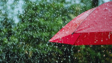 Red umbrella in heavy rain with green foliage background, rainy weather in Hyderabad.
