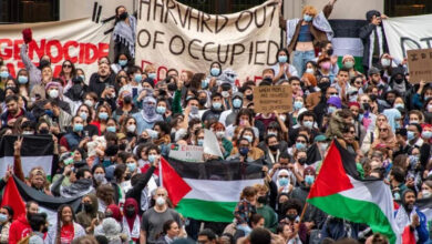 Harvard protests