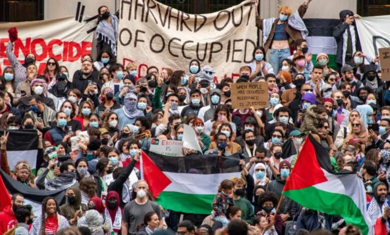 Harvard protests