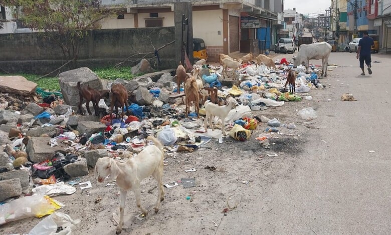 Garbage heap near Shaheen Nagar mosque turns health hazard