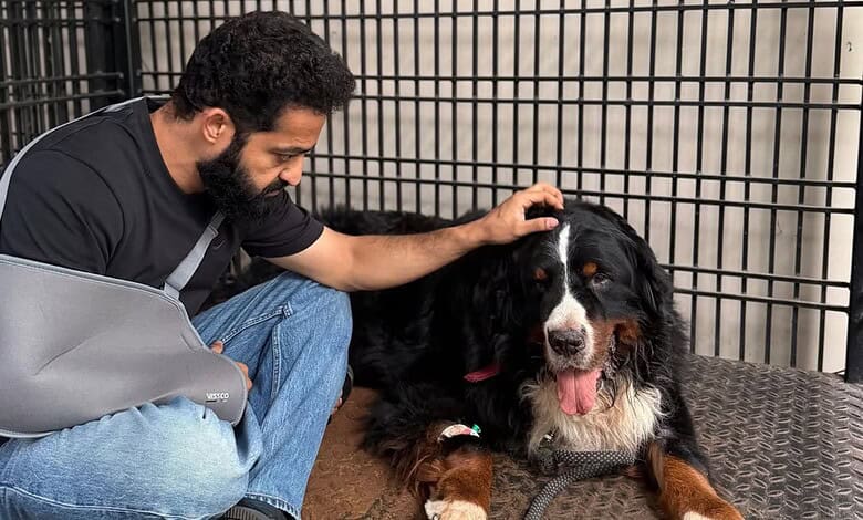 Jr NTR with his beloved pet Bagheera in a cage, showing affection and companionship.