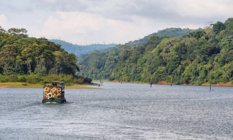 Periyar River