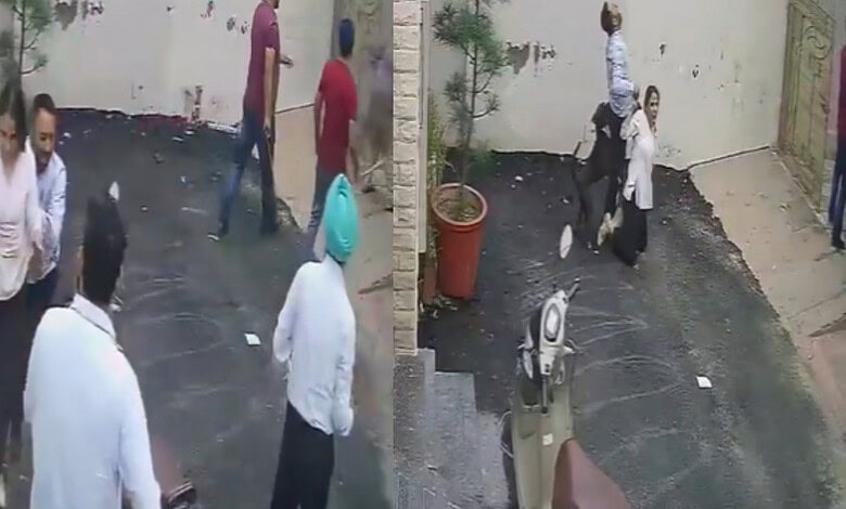 Pit bull attacks couple in Punjab's Patiala