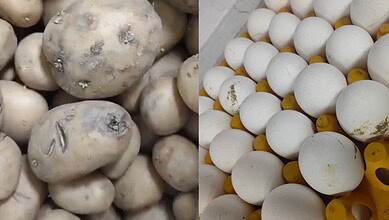 Mouldy eggs on the left, clean eggs on the right in the fridge.