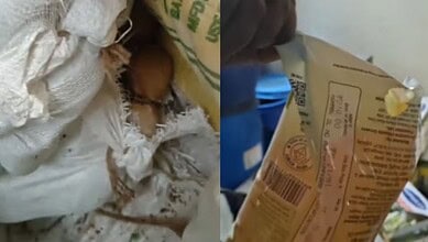 Rats found in Bengaluru Indira Canteen warehouses, sealed after inspection.