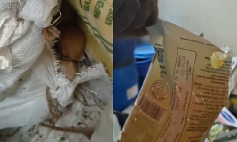 Rats found in Bengaluru Indira Canteen warehouses, sealed after inspection.