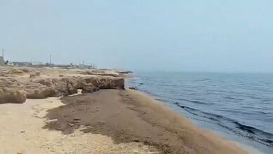 Oil spill on a beach in Oman