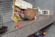 A person sleeping on a grey stone bench with belongings nearby in an urban setting.