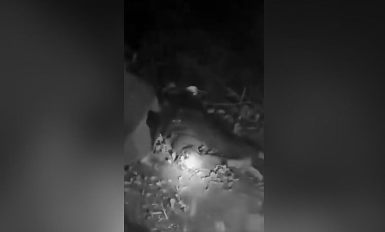Man injured in accident in Ghatkesar