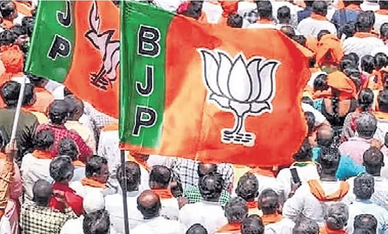 BJP team to visit Hanur encounter site, report in a week