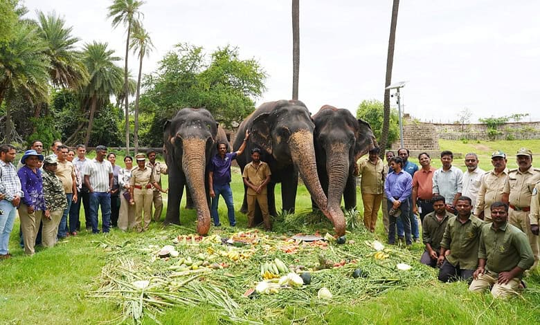 Hyderabad Zoo celebrates 4 Asian jumbos on World Elephant Day