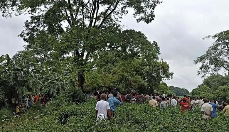 Large crowd gathered in a green outdoor area under cloudy sky.