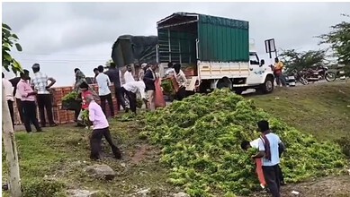 Vegetable price crash leaves farmers in Belagavi distressed