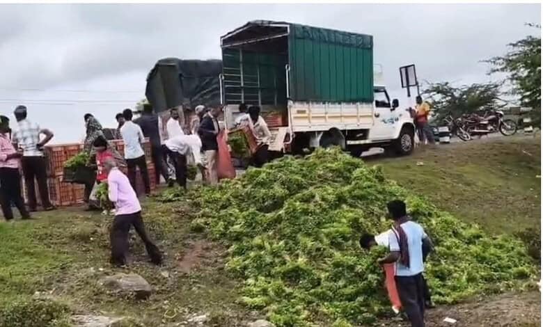 Vegetable price crash leaves farmers in Belagavi distressed