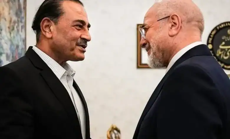 Pakistani and Iranian officials face each other during a diplomatic meeting.