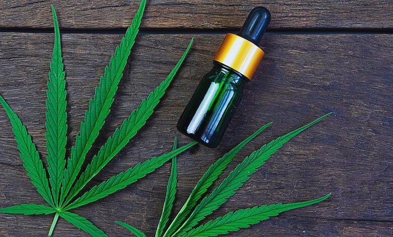 Cannabis leaves next to a dropper bottle of hemp oil on a wooden surface.
