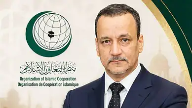 Ismail Ould Cheikh Ahmed at Organisation of Islamic Cooperation event.