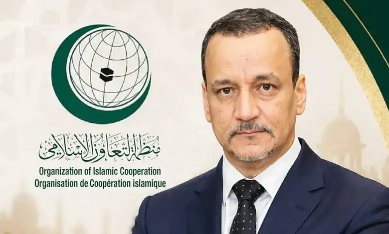 Ismail Ould Cheikh Ahmed at Organisation of Islamic Cooperation event.
