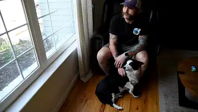 Man with tattoos and cap sitting on armchair with dog by window, natural light, indoor setting.