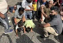 Citizens protest against infrastructure project at Lalbagh, August 30, 2026 (Image: @Clementcjayakum on X)