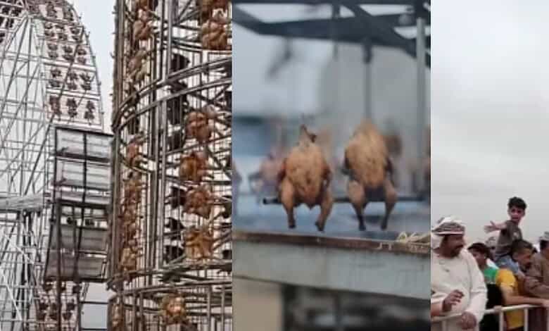 Giant Ferris wheel-style chicken grill and rotating barbecue attraction in Oman.