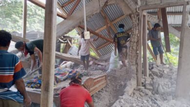 People clear up the rubble from a house damaged in an earthquake in East Manggarai, East Nusa Tenggara province, Indonesia, Saturday, Aug. 15, 2026. (AP/PTI)