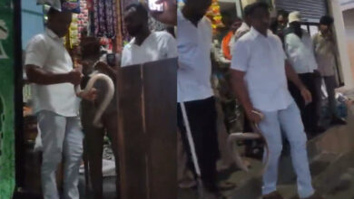 snake in Tandur
