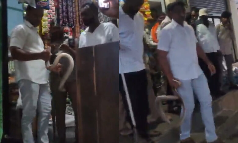 snake in Tandur