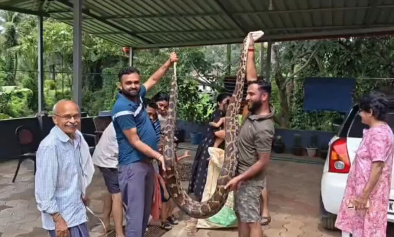 12-ft python caught in Karnataka