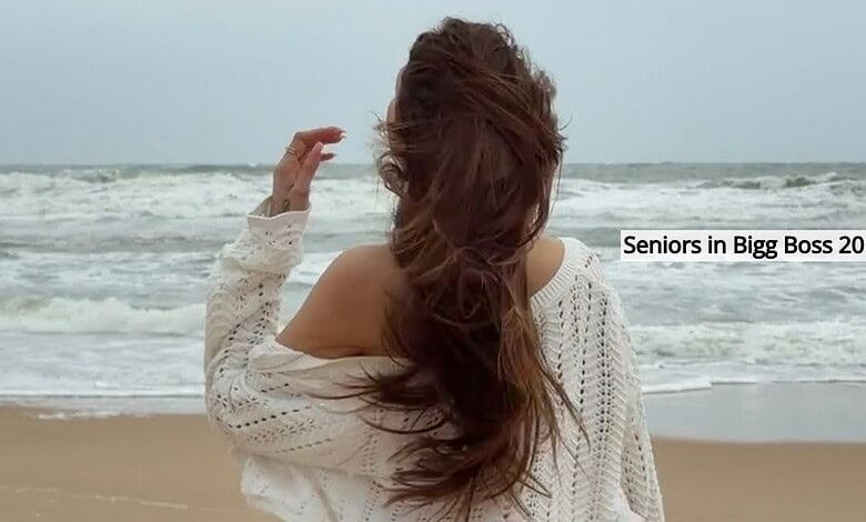 Woman with long hair on the beach, facing the sea, in a white sweater, seniors in Bigg Boss 20.