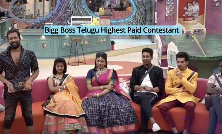 Bigg Boss Telugu season 3 contestants