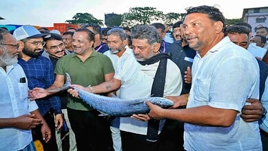 CM D K Shivakumar visits Mangaluru fishing harbour, inspecting fish and talking to fishermen.